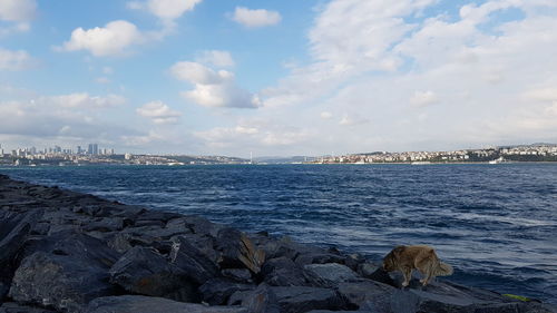 Scenic view of sea against cloudy sky