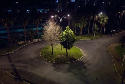 Trees and illuminated street light on traffic circle at night