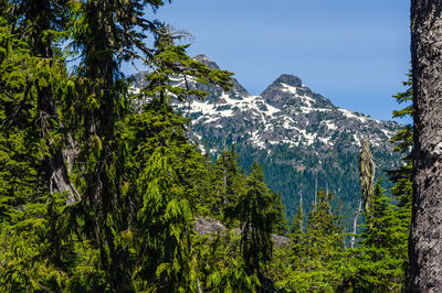 Scenic view of trees and mountains against sky