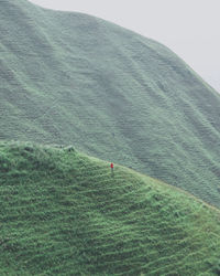 Rear view of person on landscape against sky