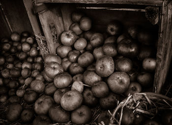 Close-up of fruits