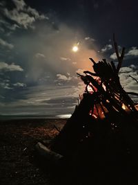 Silhouette tree on beach against sky during sunset