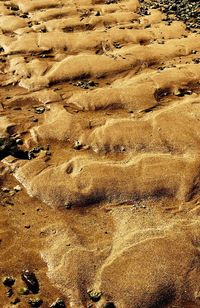 Scenic view of landscape