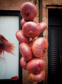 Close-up of tomatoes in house