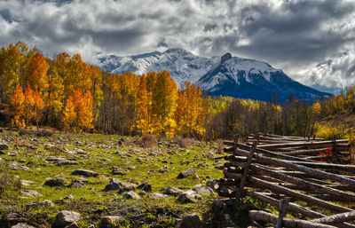 Scenic view of forest against sky during autumn