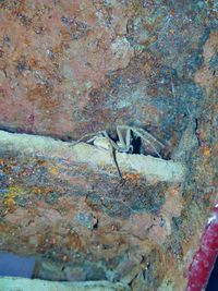 Close-up of weathered wall