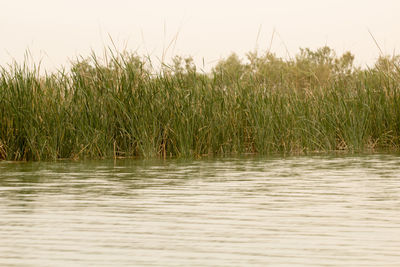 Scenic view of lake