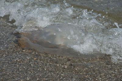 Close-up of waves on beach