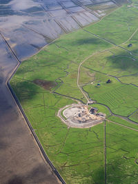 High angle view of agricultural field