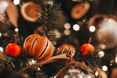 Christmas tree branches decorated with dried oranges, mandarins and cherry. winter