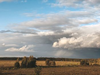 Scenic view of field against sky