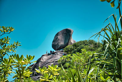 View of an animal against clear blue sky