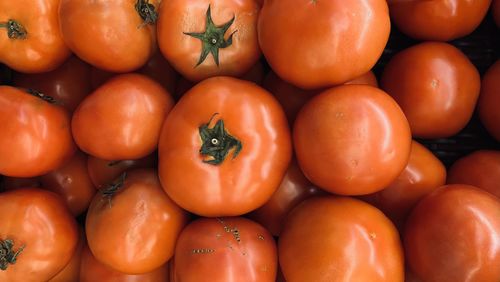 Close-up of tomatoes for sale at market stall