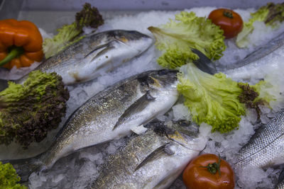 Close-up of fish for sale in market