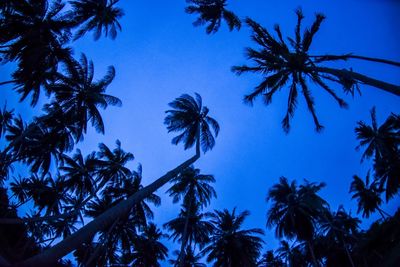 Low angle view of silhouette palm trees against sky