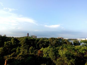 Panoramic view of trees on landscape against sky