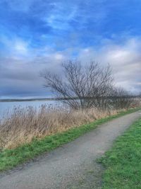 Road by bare trees on field against sky