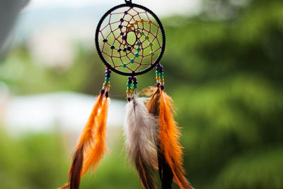 Close-up of feather hanging