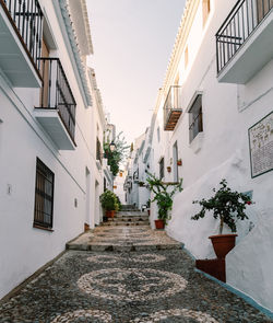 Narrow alley amidst buildings in city