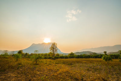 Scenic view of field against sky during sunset