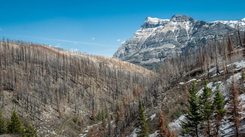 Panoramic view of rocky mountains against sky