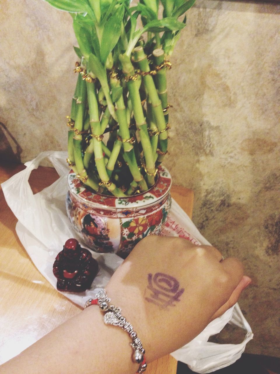 potted plant, freshness, high angle view, plant, growth, close-up, flower, part of, indoors, person, table, leaf, holding, food and drink, basket, cropped, day