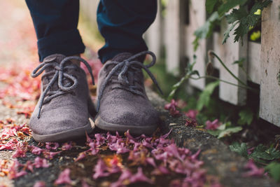 Low section of person standing on fallen petals on footpath