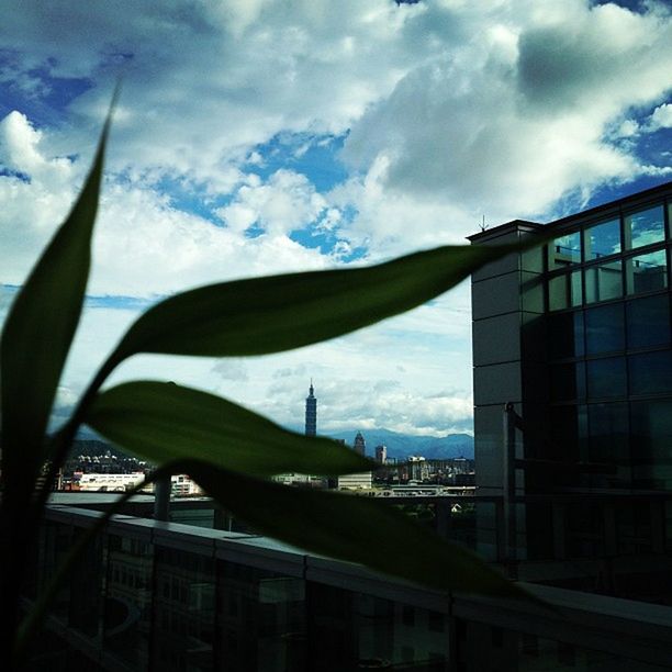 sky, architecture, built structure, building exterior, cloud - sky, window, glass - material, cloud, cloudy, building, low angle view, reflection, city, modern, day, transparent, sunlight, glass, no people, blue