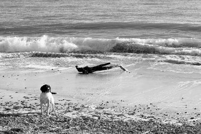 Rear view of men on beach