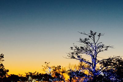 Close-up of silhouette tree against sky