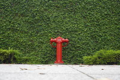 Red fire hydrant on footpath