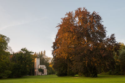 Trees growing on field against sky during autumn