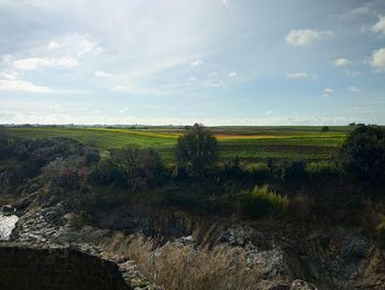 Scenic view of field against sky