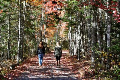 Rear view of women walking in forest