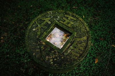 High angle view of illuminated ball on green grass