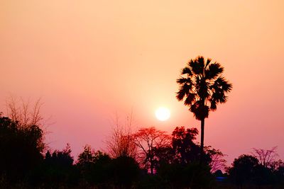 Low angle view of silhouette tree against sky during sunset