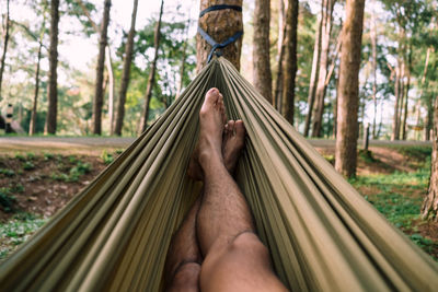 Low section of man relaxing on hammock in forest