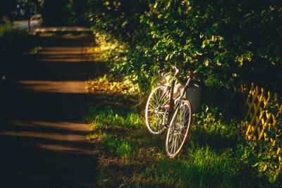 High angle view of bicycle by plants on road