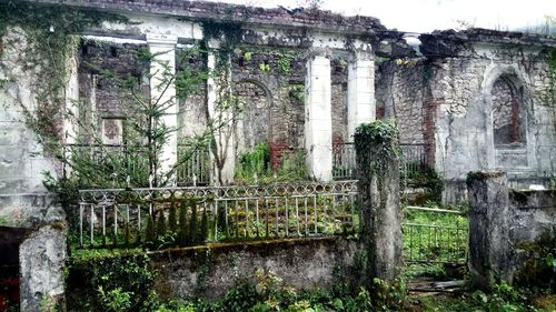 Abandoned built structure against trees