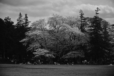 Scenic view of landscape against cloudy sky