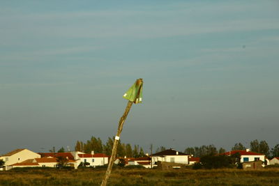 Plant growing outside house on shore against sky