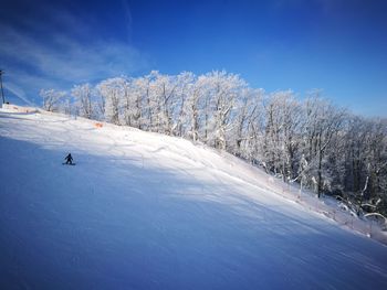 Snow covered field by trees against blue sky