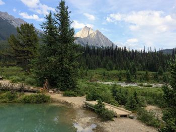 Scenic view of lake by trees against sky