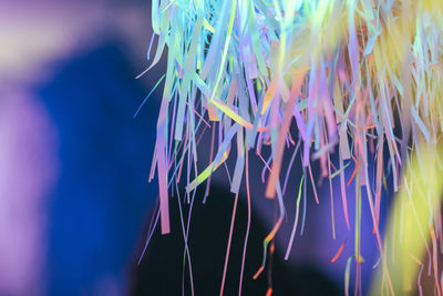 Close-up of multi colored streamers