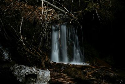 View of waterfall in forest