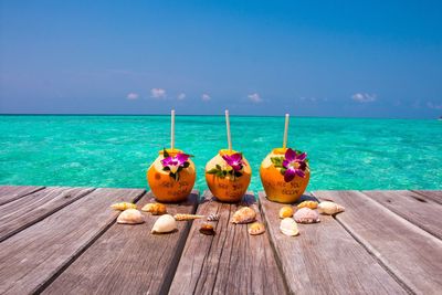 Close-up of coconuts and shells on pier at beach against sky