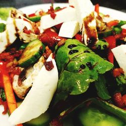 Close-up of salad in plate