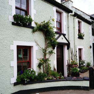 Potted plants outside house