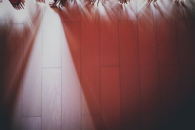 Close-up view of sunlight on floor