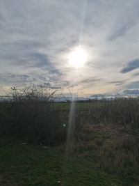 Scenic view of field against sky during sunset